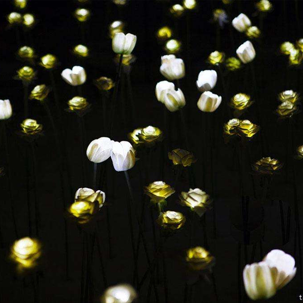 Plant Shaped Lamp